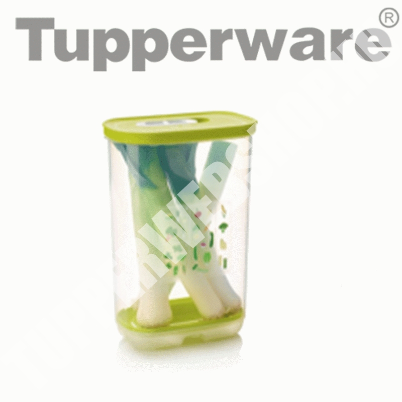 Tupperware Álló IQ 3,2L