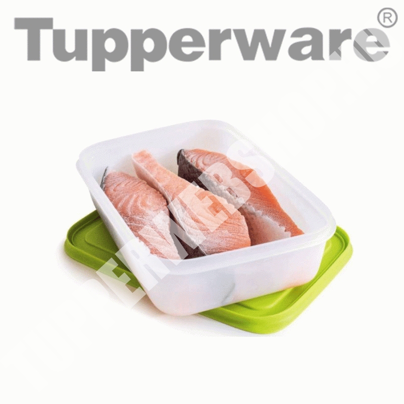 Tupperware Fagyasztó Társ 1 L