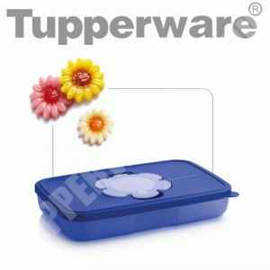 Tupperware Kompakt alacsony Törlőtár 